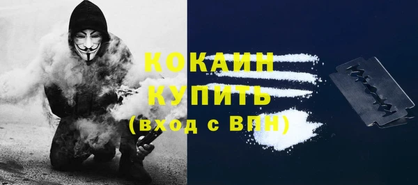 стаф Сосновоборск