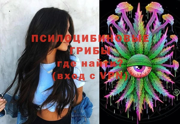 apvp Магас