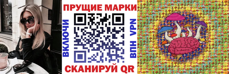 как найти наркотики  Отрадное  Марки 25I-NBOMe 1,8мг 